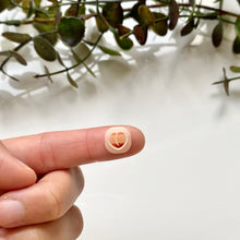 Load image into Gallery viewer, Peach Body (Micro)
