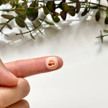 Load image into Gallery viewer, Shell E (Micro)