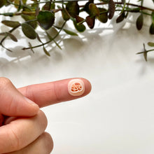 Load image into Gallery viewer, Shell C (Micro)