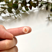 Load image into Gallery viewer, Shell D (Micro)