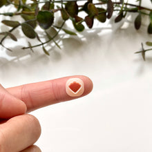 Load image into Gallery viewer, Shell F (Micro)