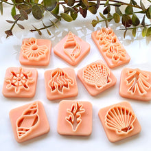 Load image into Gallery viewer, Summer Cutters Bundle of 10