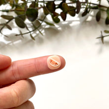 Load image into Gallery viewer, Watermelon Half (Micro)