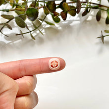 Load image into Gallery viewer, Sand Dollar (Micro)