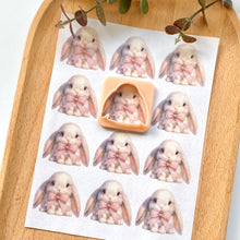 Load image into Gallery viewer, Rabbit 005 Transfer (Indiv Bow)