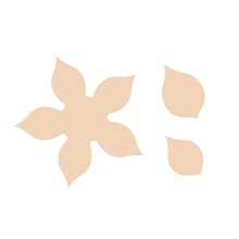 Load image into Gallery viewer, Poinsettia Set