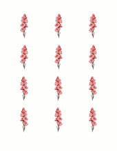 Load image into Gallery viewer, Spring 009 Transfer (Indiv Birth Flowers)