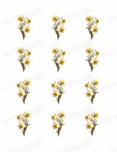 Load image into Gallery viewer, Spring 009 Transfer (Indiv Birth Flowers)