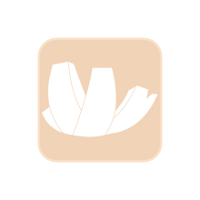 Load image into Gallery viewer, ArtScience Museum