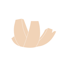 Load image into Gallery viewer, ArtScience Museum