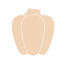 Load image into Gallery viewer, Bell Pepper