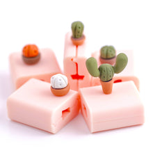 Load image into Gallery viewer, Cacti Pots Bead Roller Bundle of 5
