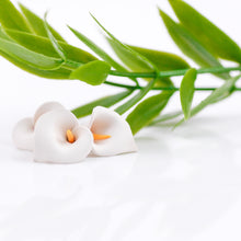 Load image into Gallery viewer, Calla Lily DIY