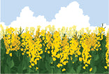 Load image into Gallery viewer, Canola Field 001 Transfer (MC)