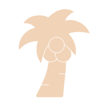 Load image into Gallery viewer, Coconut Tree
