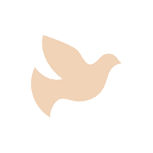 Load image into Gallery viewer, Dove