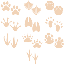 Load image into Gallery viewer, Animal Footprint Stamps