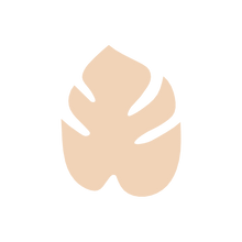 Load image into Gallery viewer, Monstera A