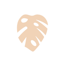 Load image into Gallery viewer, Monstera B