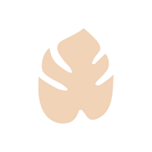 Load image into Gallery viewer, Monstera A