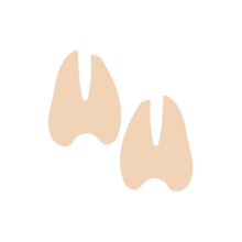 Load image into Gallery viewer, Animal Footprint Stamps