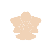 Load image into Gallery viewer, Orchid