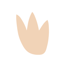 Load image into Gallery viewer, Organic Flower A