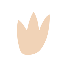 Load image into Gallery viewer, Organic Flower A