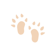 Load image into Gallery viewer, Animal Footprint Stamps