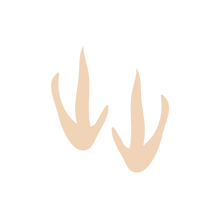 Load image into Gallery viewer, Animal Footprint Stamps