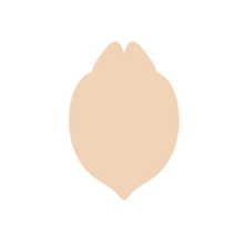 Load image into Gallery viewer, Petal L (Micro)