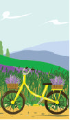 Load image into Gallery viewer, Bicycle Mountain 001 Transfer (MC)