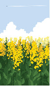 Load image into Gallery viewer, Canola Field 001 Transfer (MC)