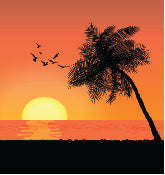 Load image into Gallery viewer, Sunset 001 Transfer (MC)