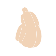 Load image into Gallery viewer, Pumpkin B