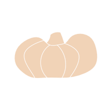 Load image into Gallery viewer, Pumpkin C