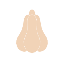 Load image into Gallery viewer, Pumpkin D