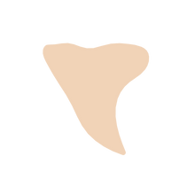 Load image into Gallery viewer, Shark Tooth