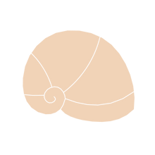 Load image into Gallery viewer, Shell G