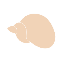 Load image into Gallery viewer, Shell H