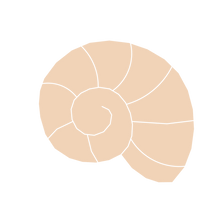 Load image into Gallery viewer, Shell I Stud