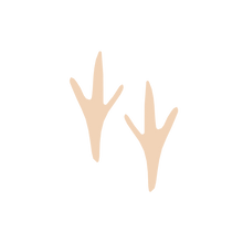 Load image into Gallery viewer, Animal Footprint Stamps