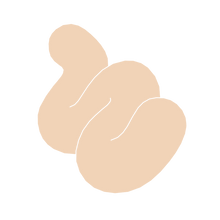 Load image into Gallery viewer, Squiggle B