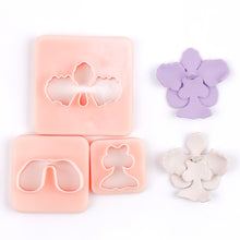 Load image into Gallery viewer, Vanda Miss Joaquim DIY