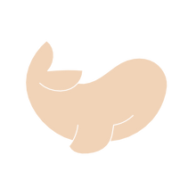 Load image into Gallery viewer, Whale B Stud