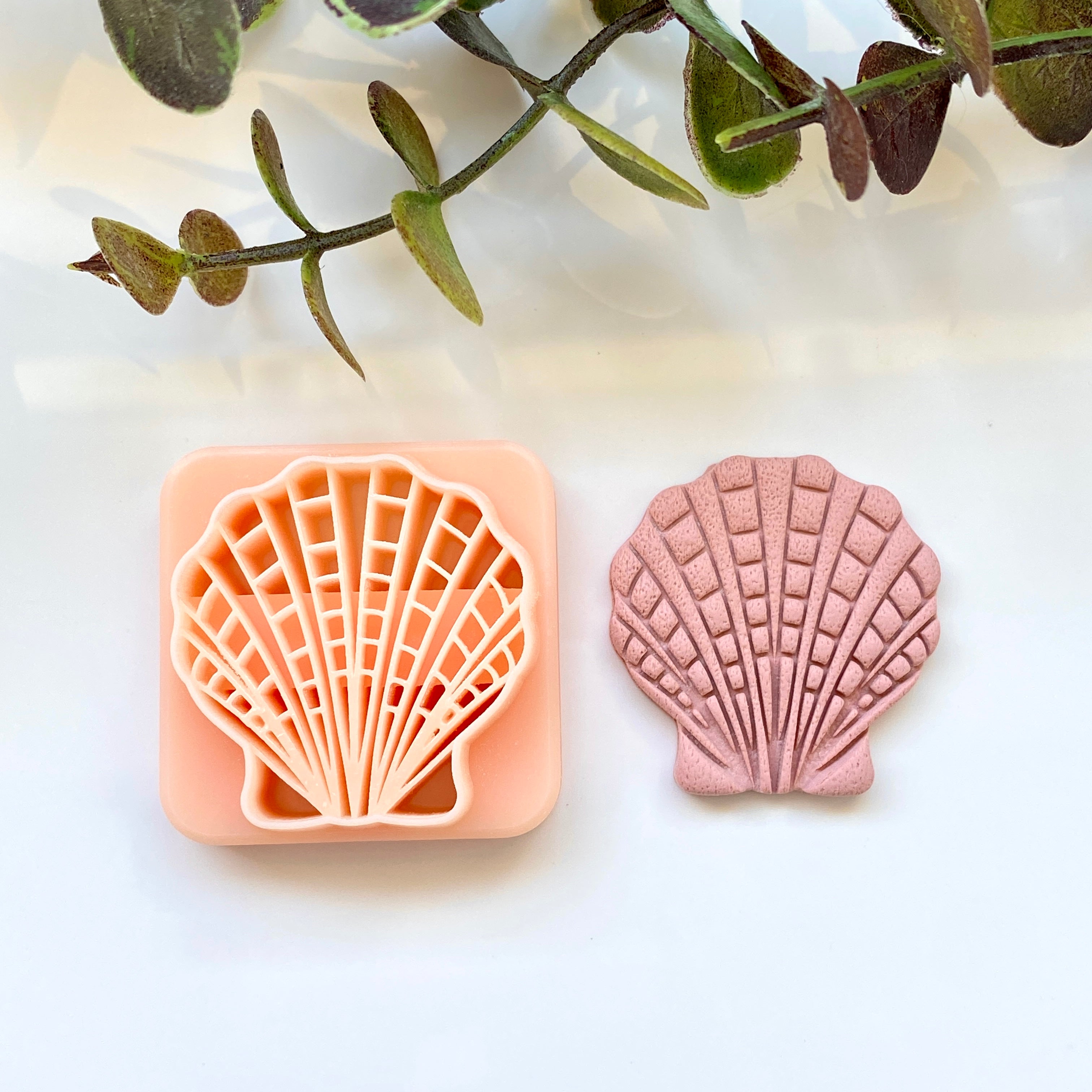 Fan Shell Migration Intricate Fan Shell – Cutterglobe