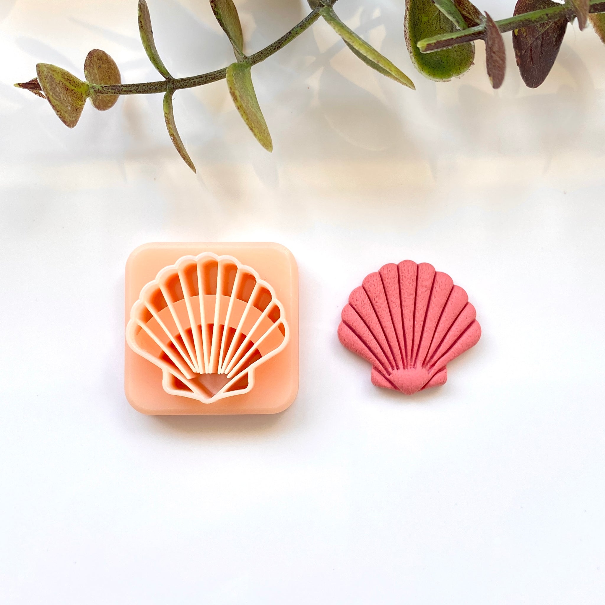 Fan Shell – Cutterglobe