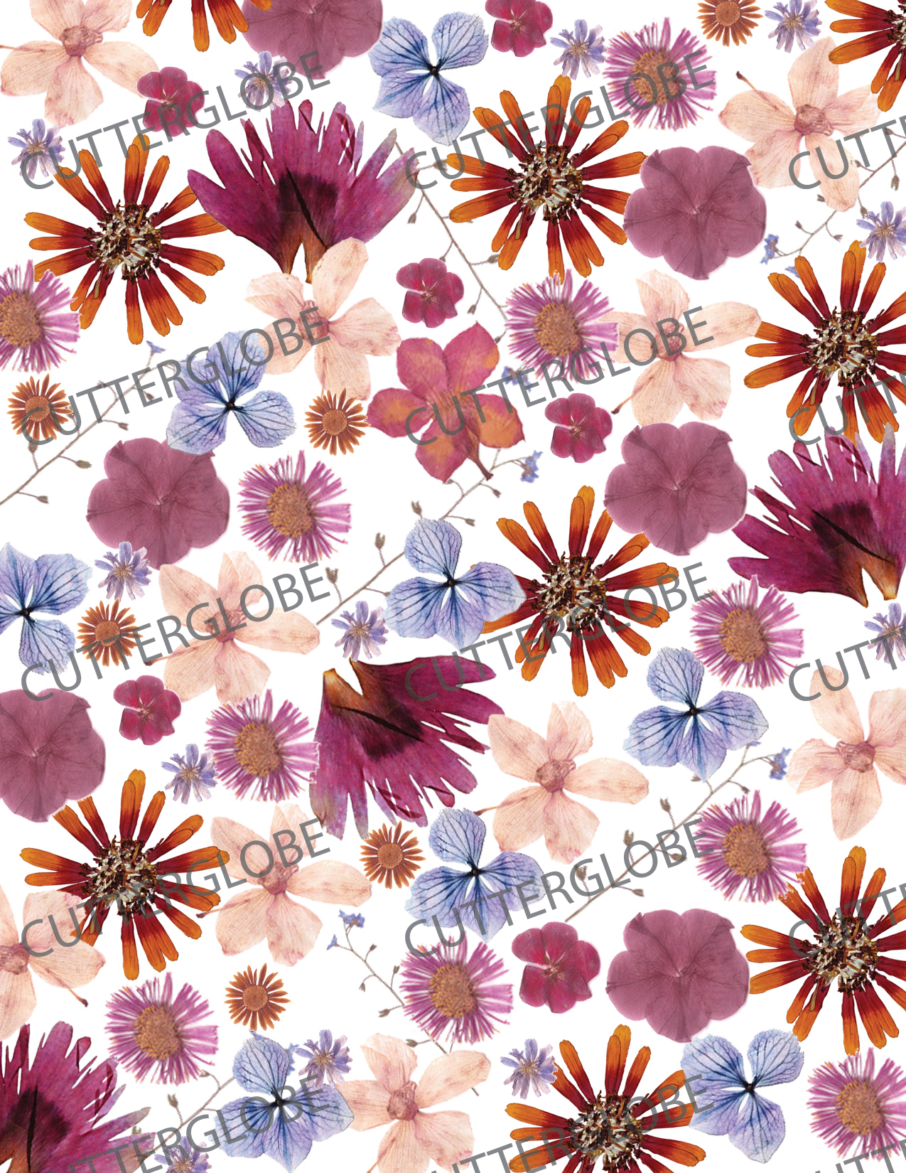 Floral 019 Transfer (Pressed Flowers) – Cutterglobe