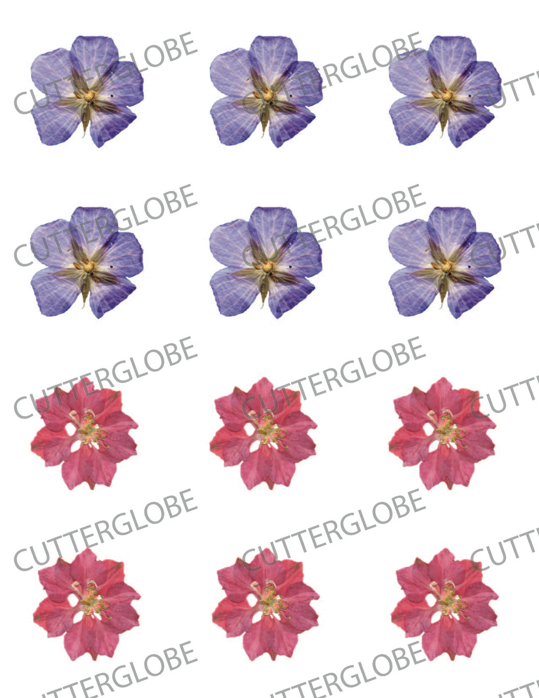 Floral 048 Transfer (Pressed 2 Pink Purple)