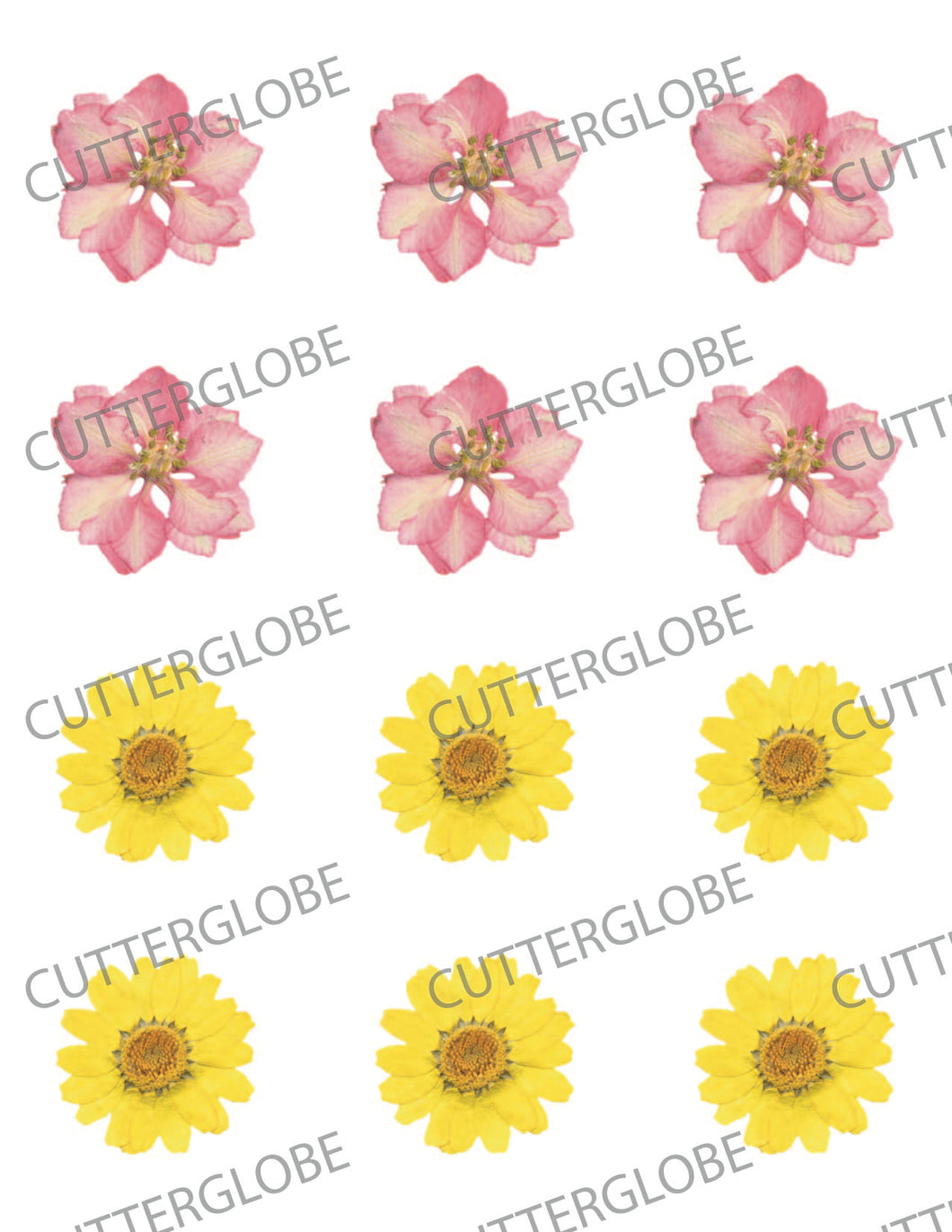 Floral 049 Transfer (Pressed 2 Pink Yellow)